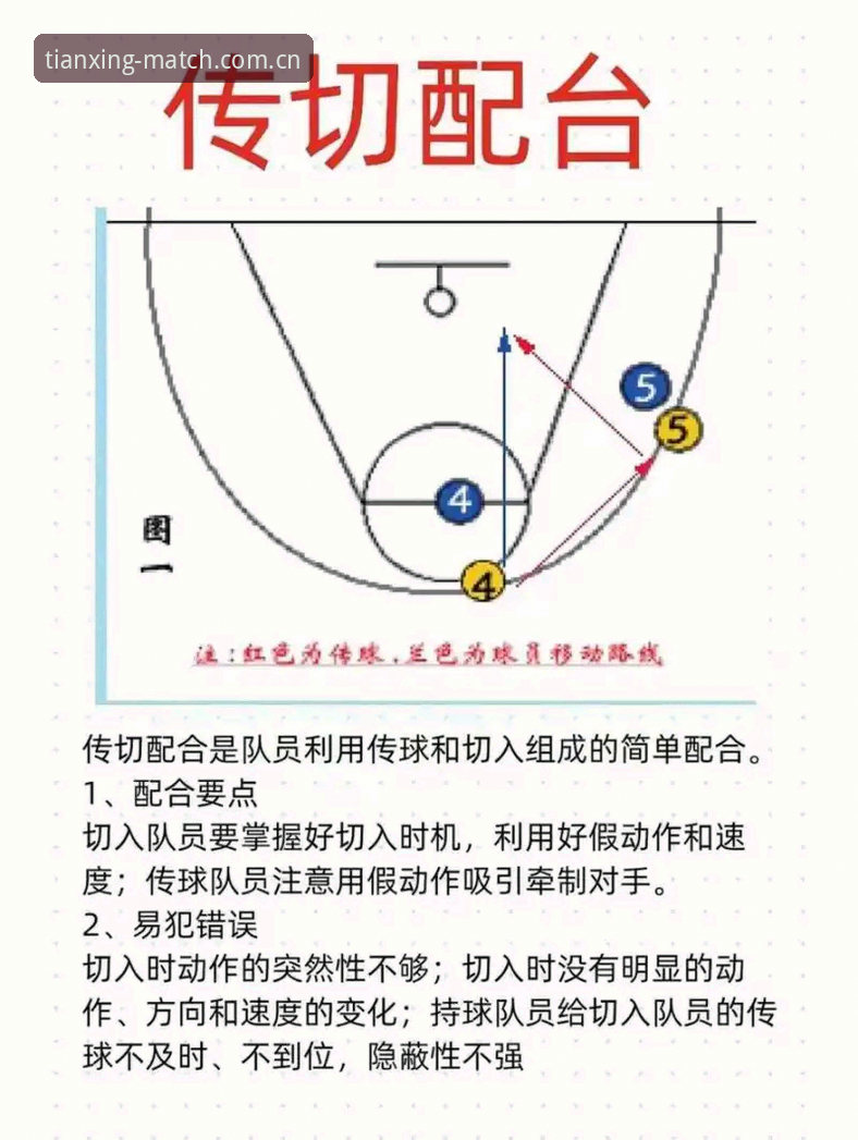天行体育官方版 天行体育官方版必备指南:5个让你看球更爽的实用技巧